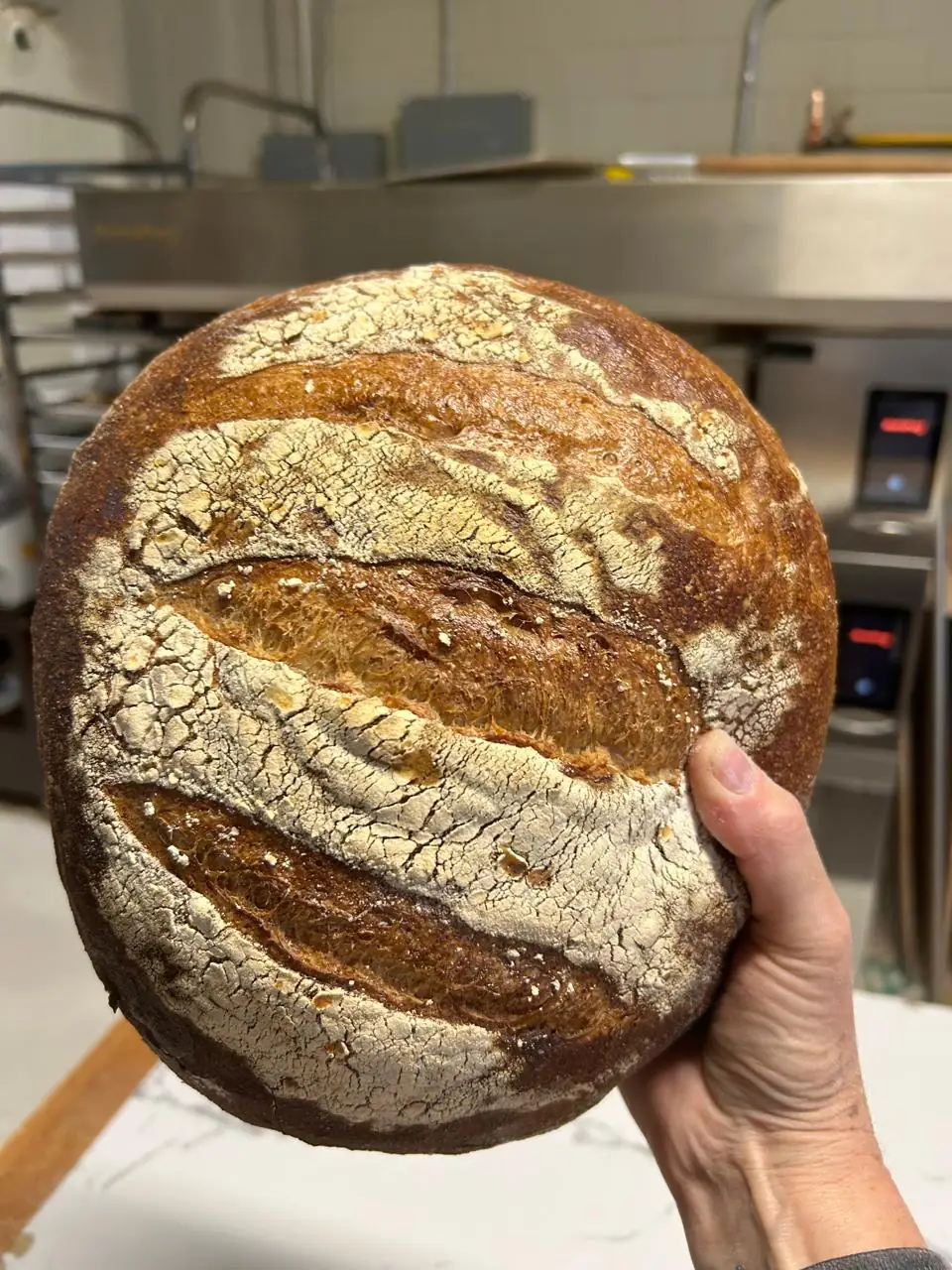 Hogaza de pan de masa madre recién horneada sostenida a mano en la panadería Pan de Elia